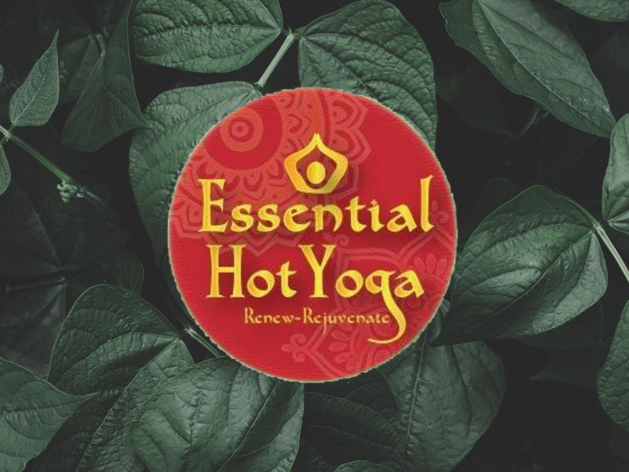Essential Hot Yoga