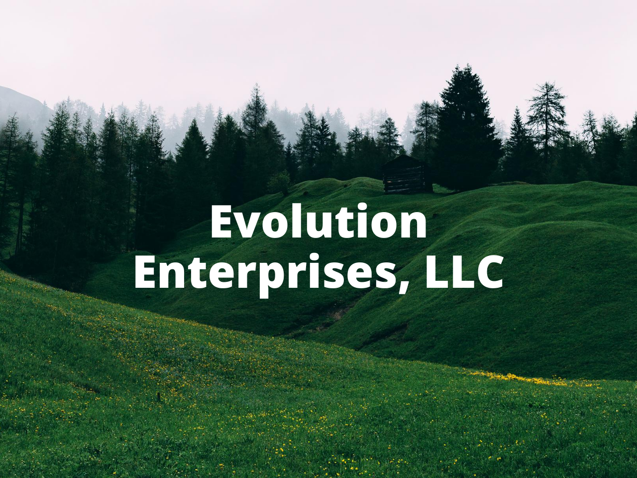 Evolution Enterprises LLC
