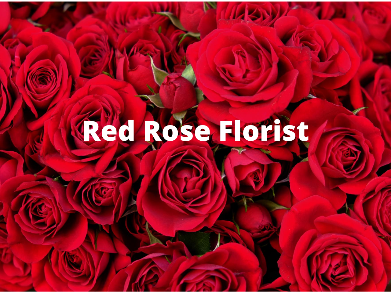 Red Rose Florist
