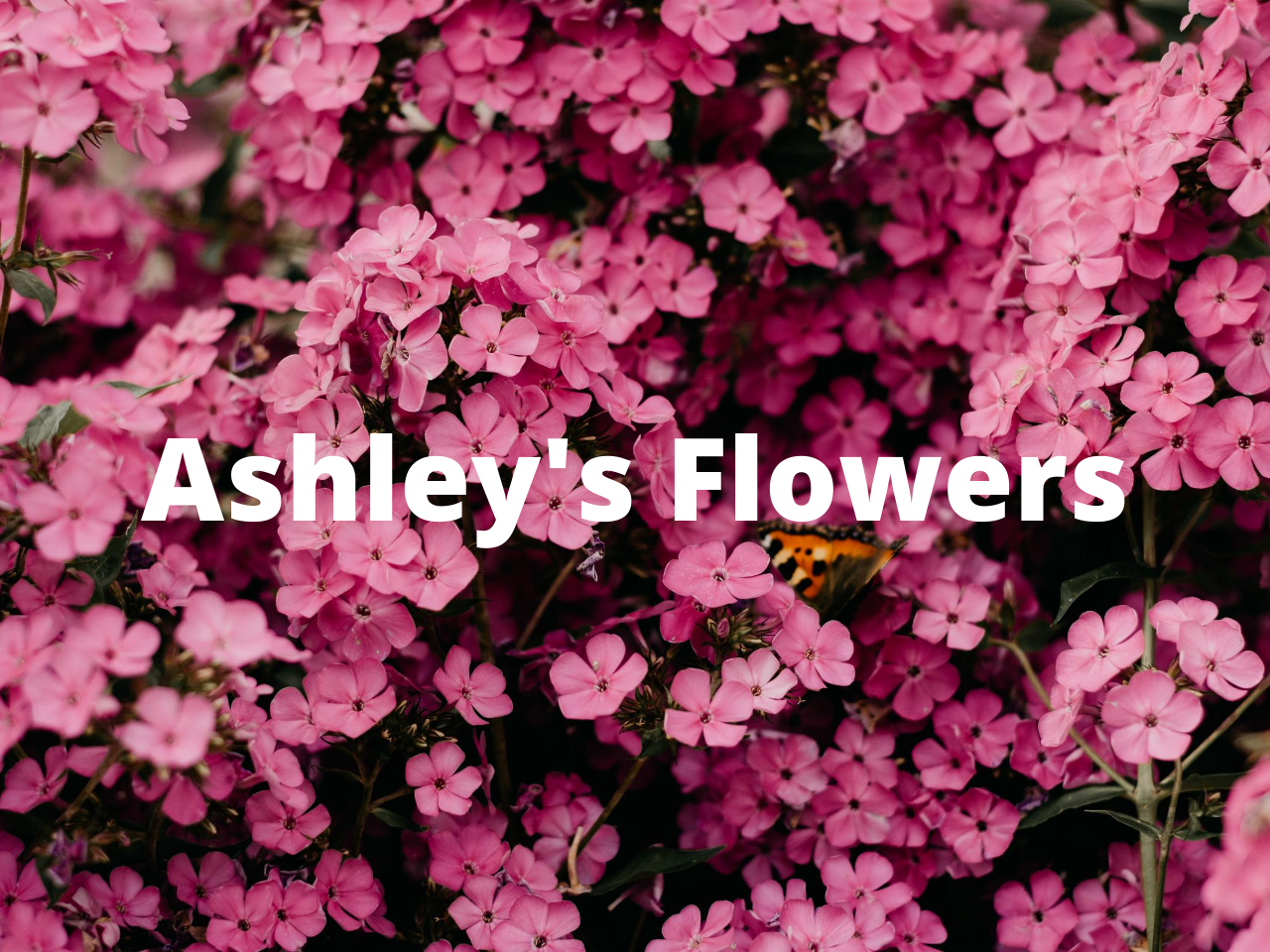 Ashley's Flowers