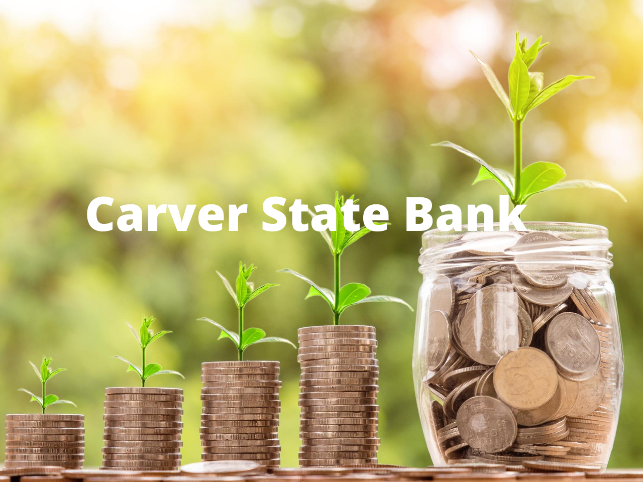 Carver State Bank of Savannah